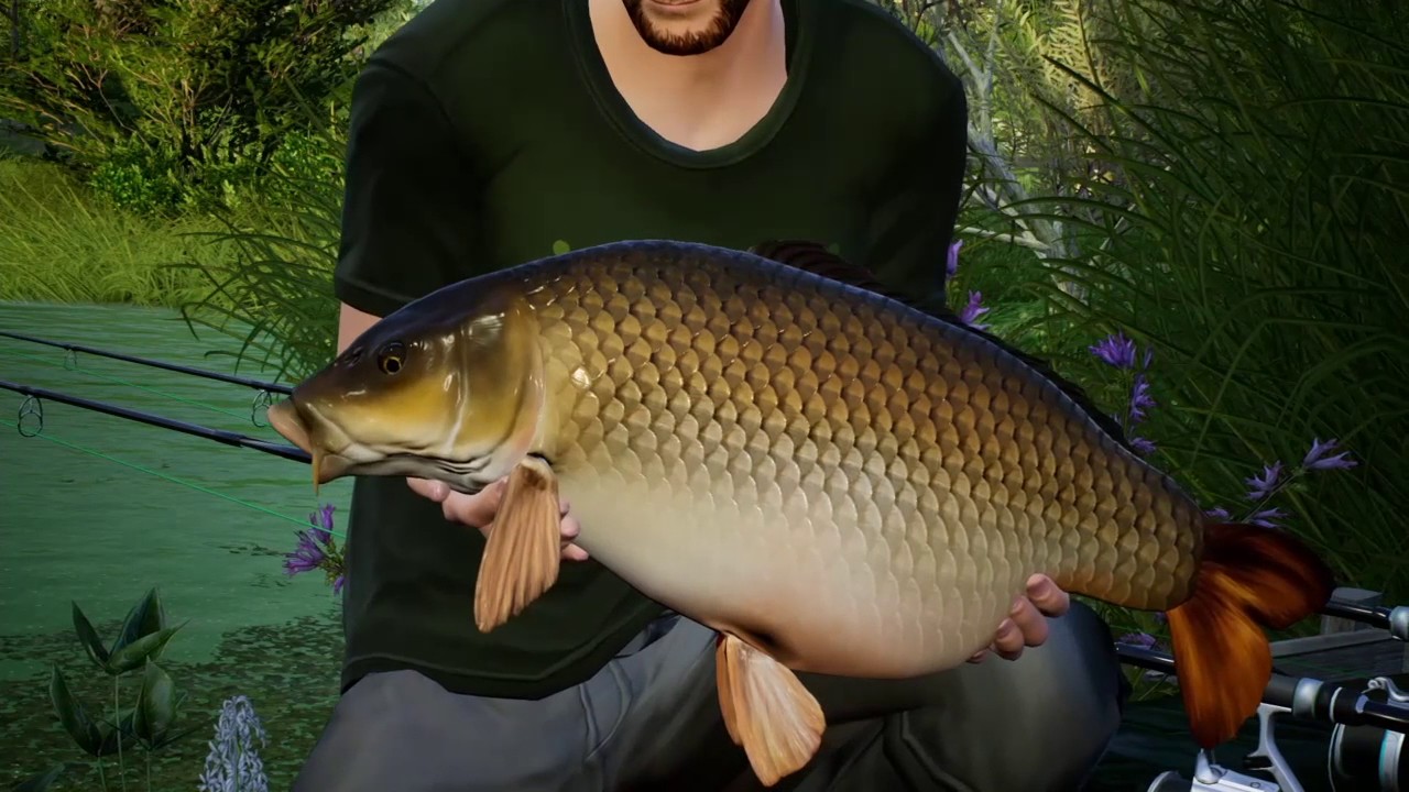 How to catch boss fish at the Observatory Euro fishing