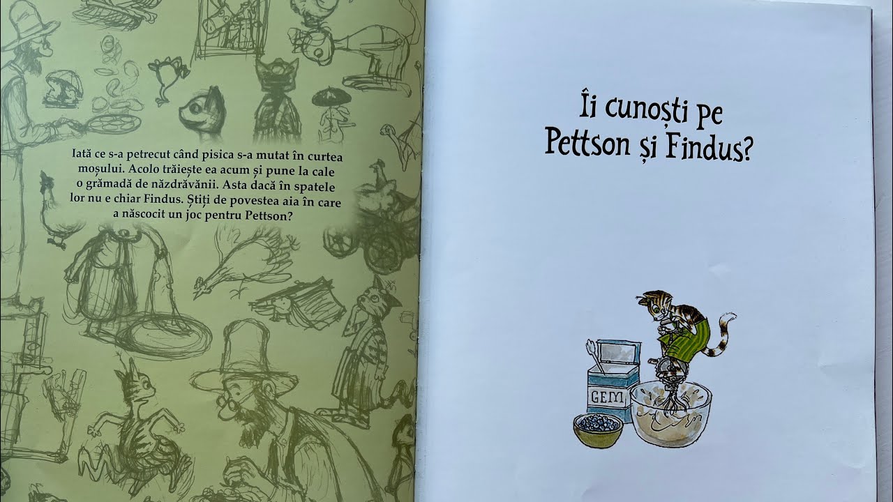 Aventuri cu Pettson și Findus. Ii cunoști pe Pettson și Findus? De Sven Nordqvist