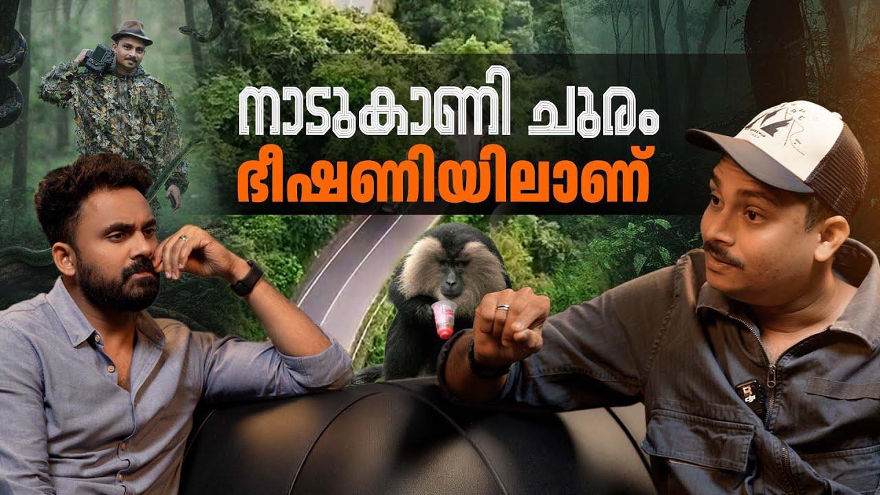 നാടുകാണിയിൽ പതിയിരിക്കുന്ന അപകടം | VM SADIQUE ALI | WILD LIFE PHOTOGRAPHER |