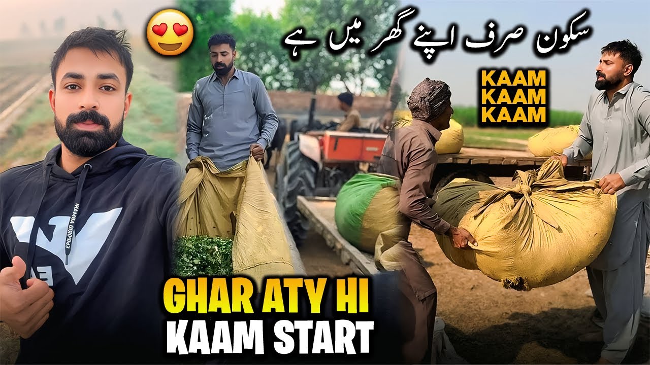 Waqar Bhinder Work Routine 🤔 Kaam Kaam Kaam | گھر کے کام اور گھر کا سکون