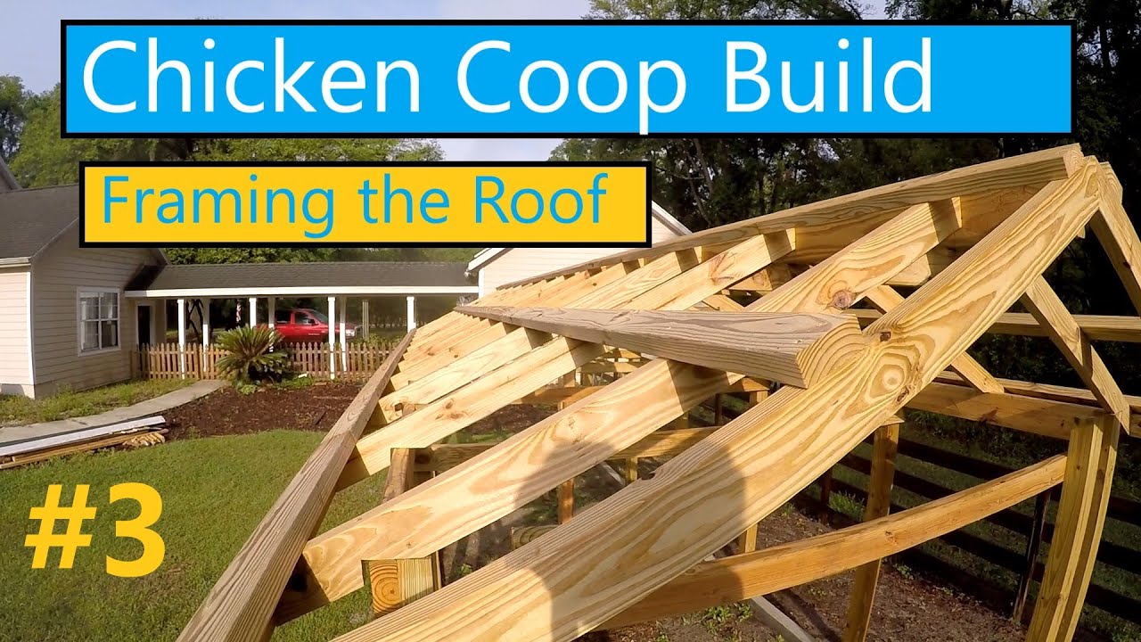 Chicken Coop Build Pt3: Framing the Roof