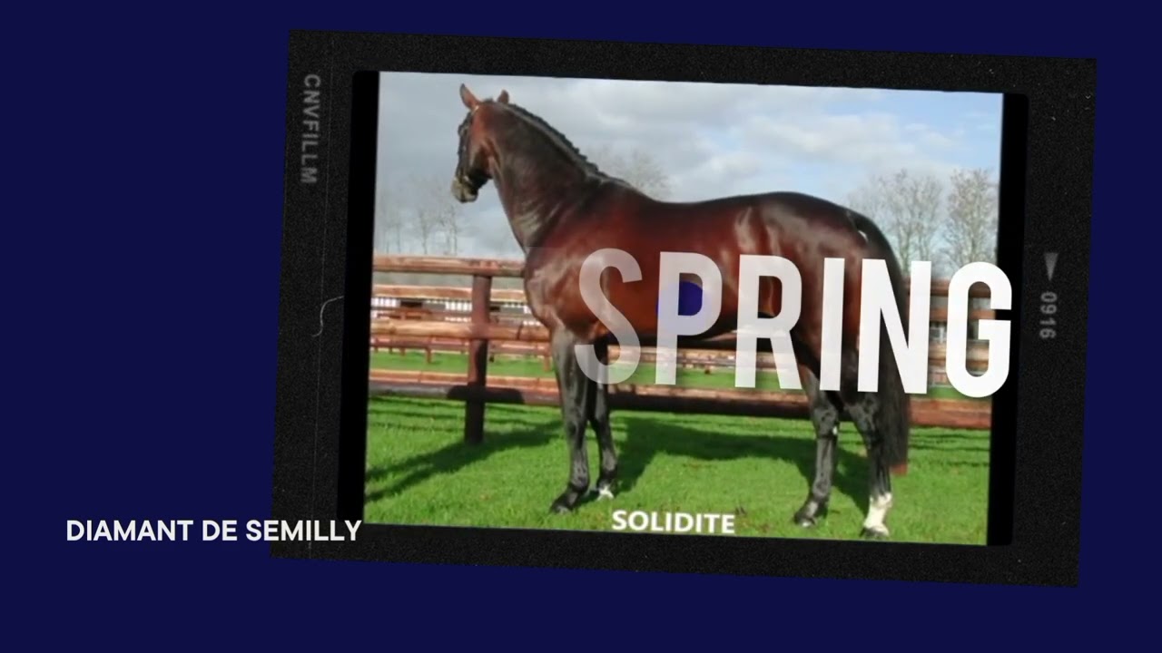 DOURKHANELLA DSH Z - Dourkhan Hero Z  x Uccello