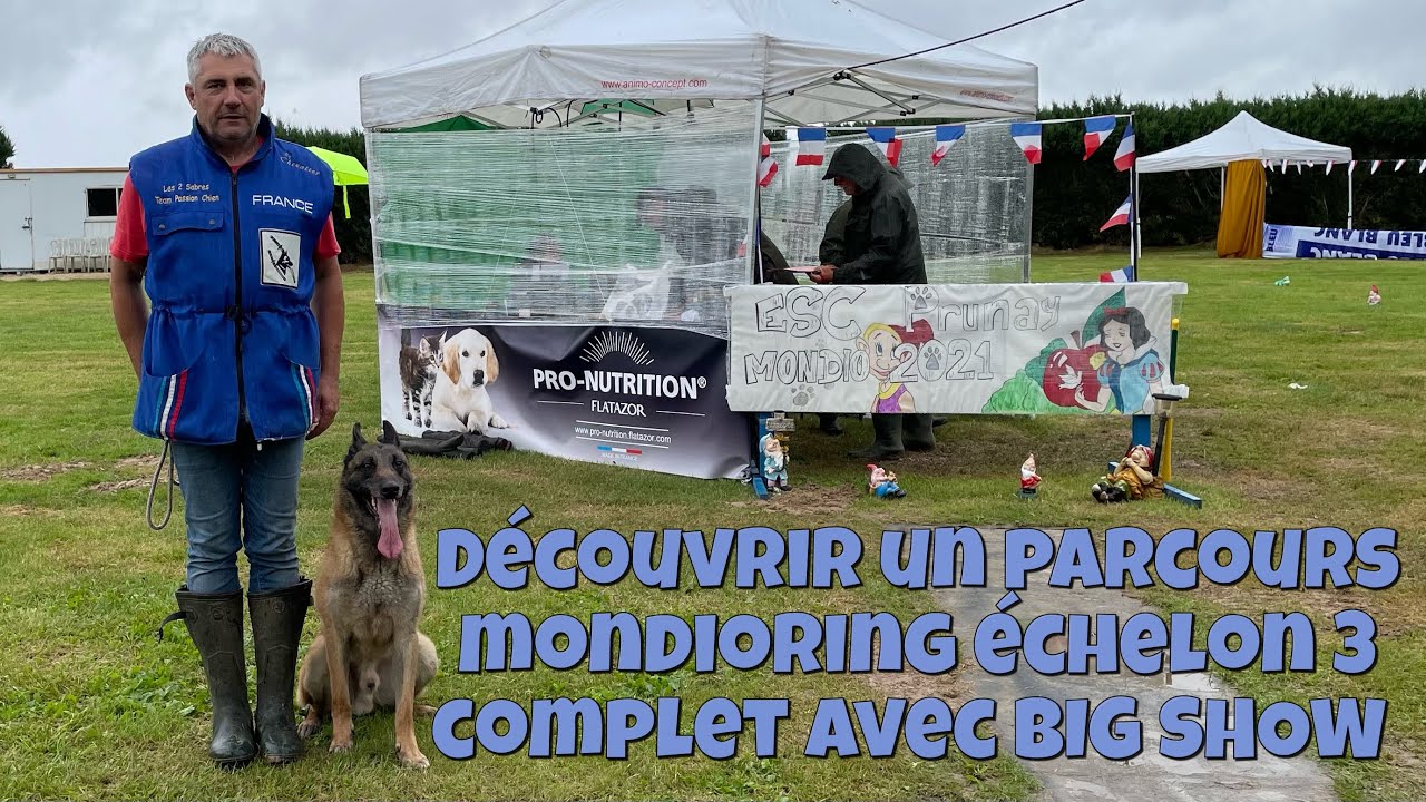 Découvrir un parcours complet mondioring échelon 3 avec le malinois BIG SHOW - 2021