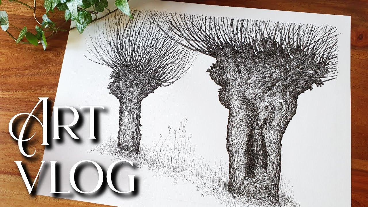ART VLOG - Plein air fineliner drawing of two pollard willow trees in very early spring