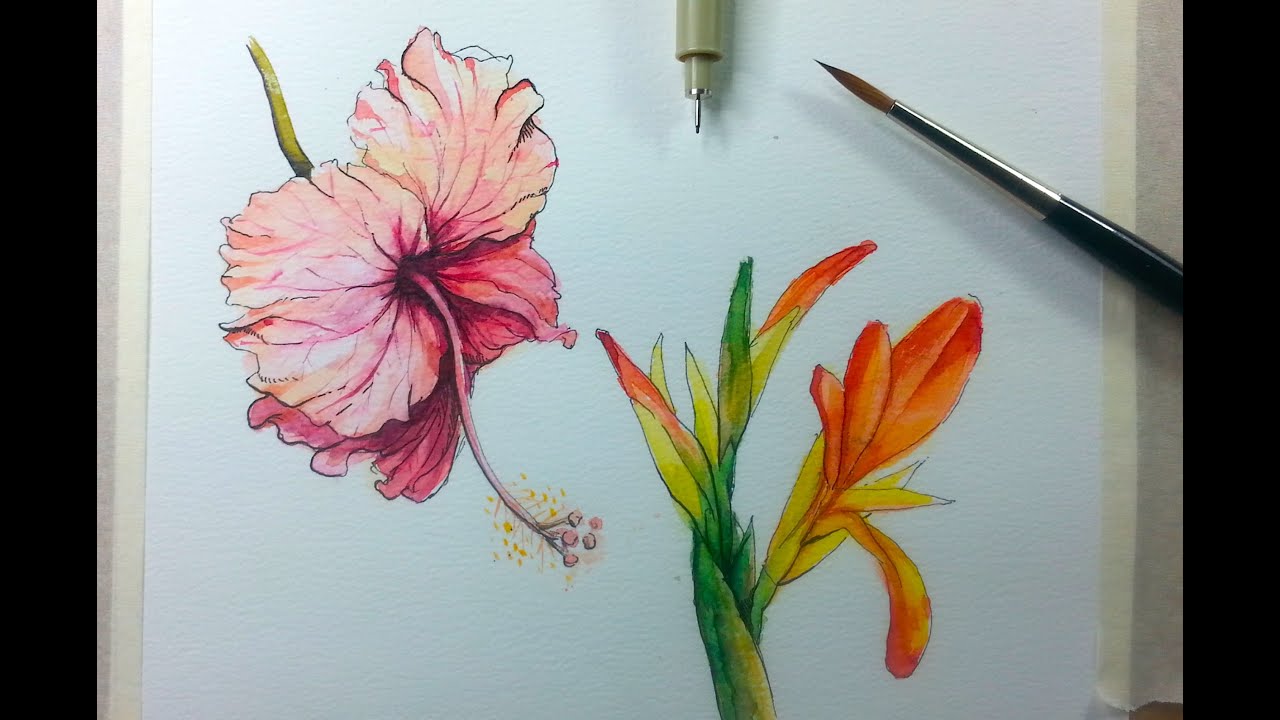 Drawing & Painting Hibiscus Flower with Ink & Watercolor