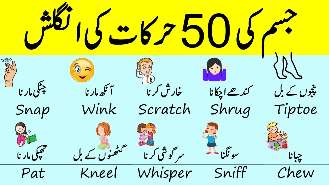 50 Body Movements and Actions Vocabulary in English with Urdu Meanings | Grammareer