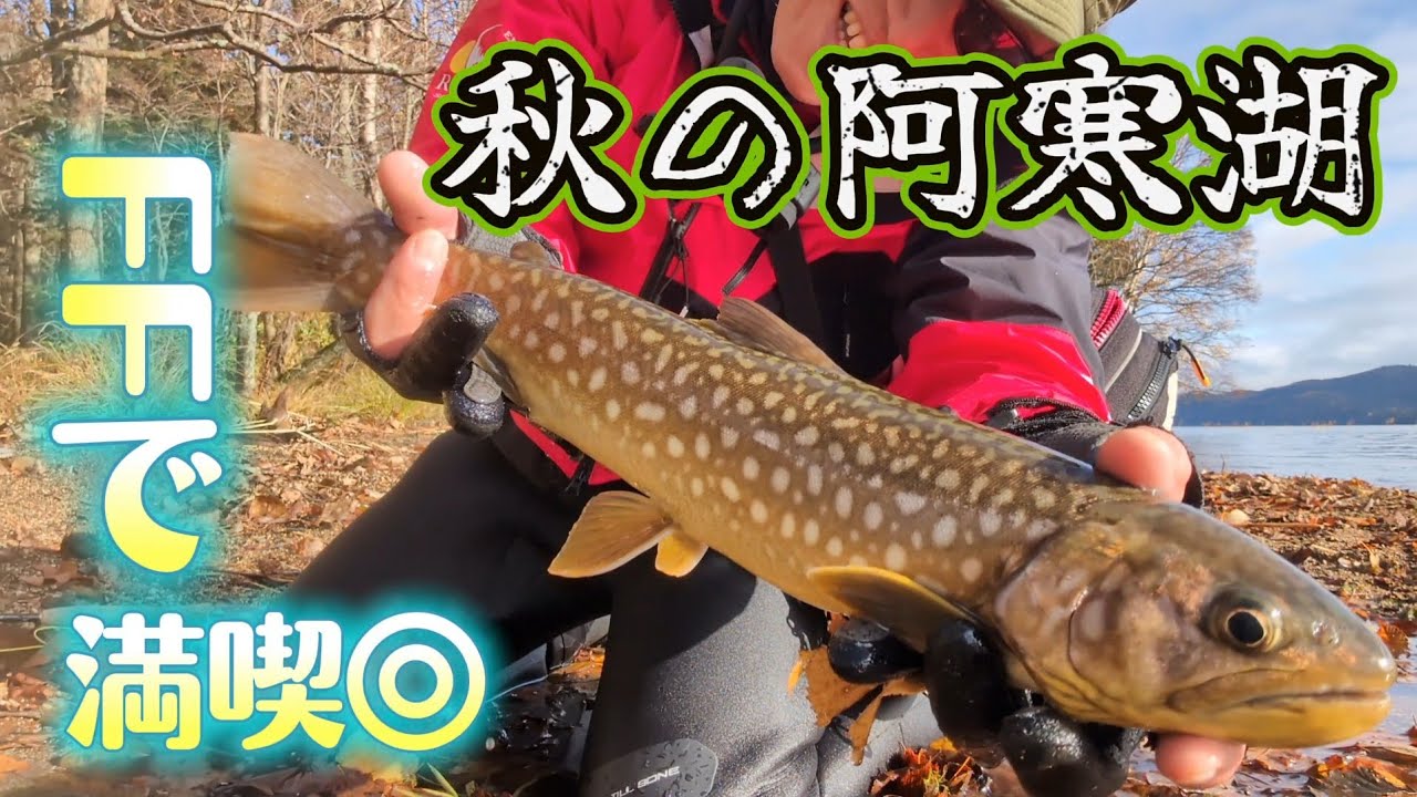 おっさん、阿寒湖でドラグ音を鳴り響かす【lake akan】