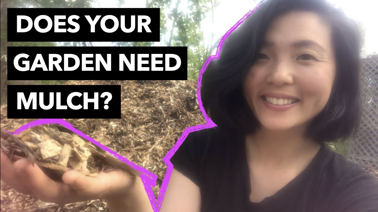 The Importance of Mulch