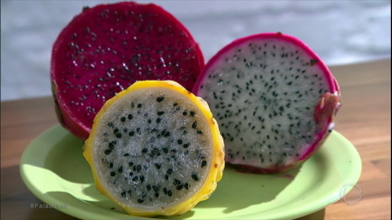 Pitaya é uma importante aliada contra anemia