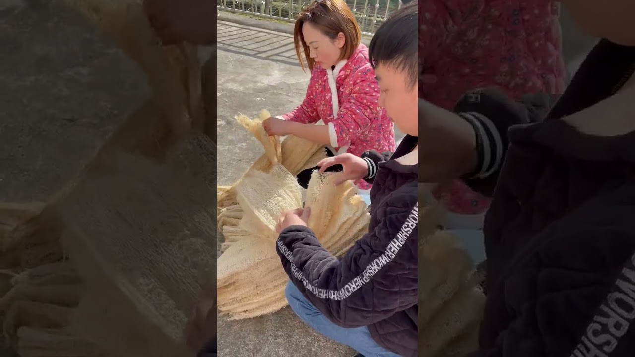 Welcome to the World of Village Farming - Satisfying Luffa Cutting Cleaning video Taseall
