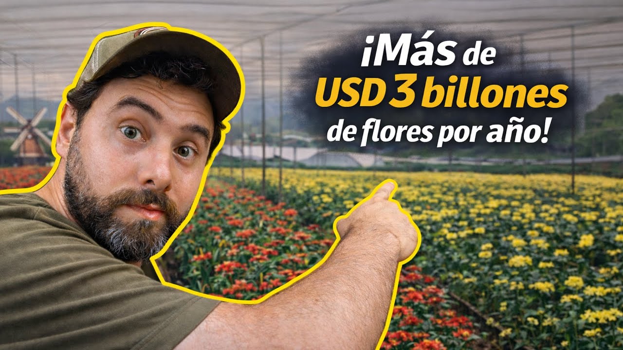 Cultivo de flores y Agro turismo en Brasil 
