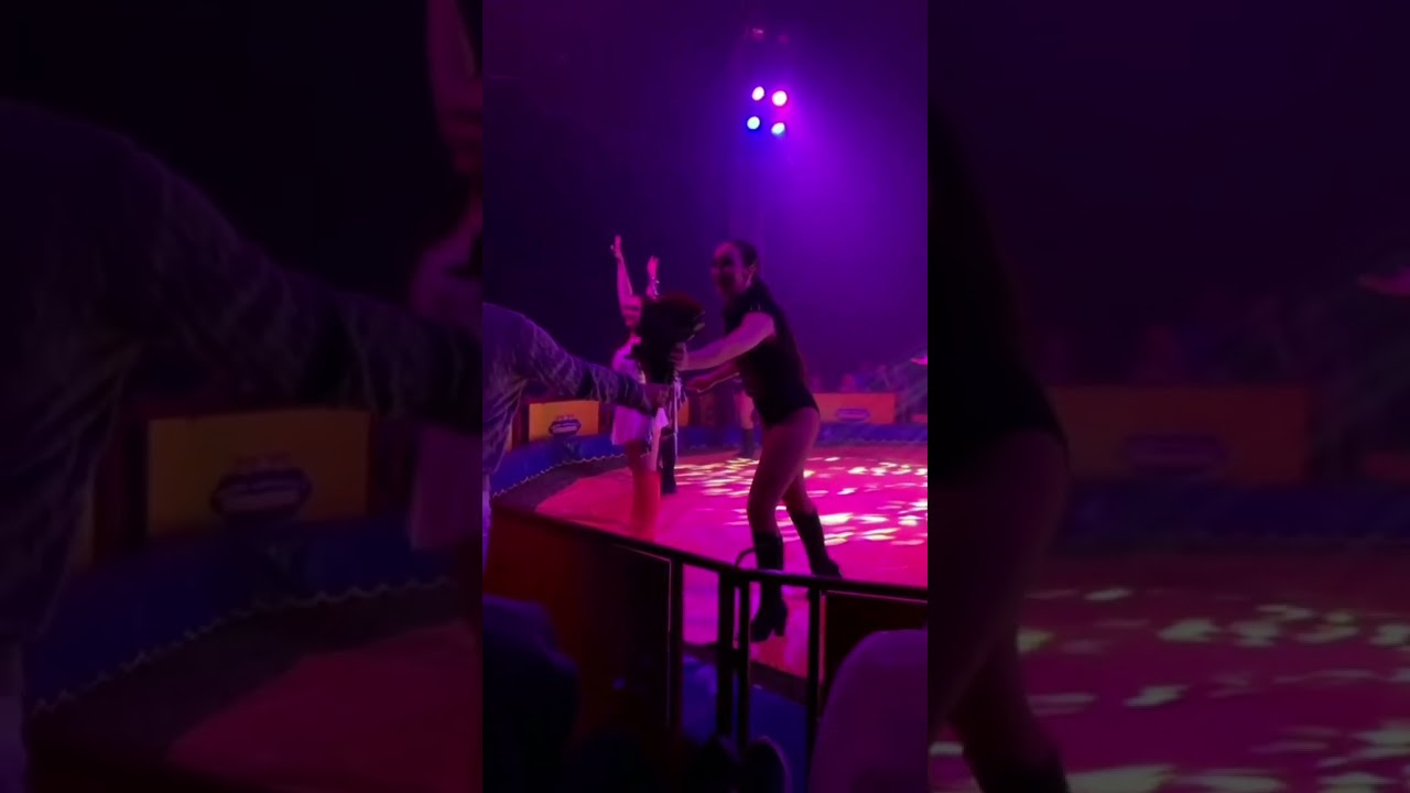 Embrace the Trend: Circus Artistry at Its Finest #artist #circusartist