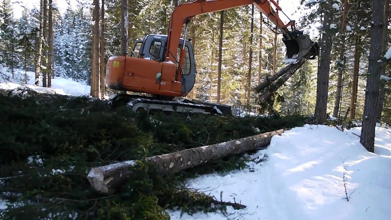 Skogsarbeid 2011 (Leif Liodden)