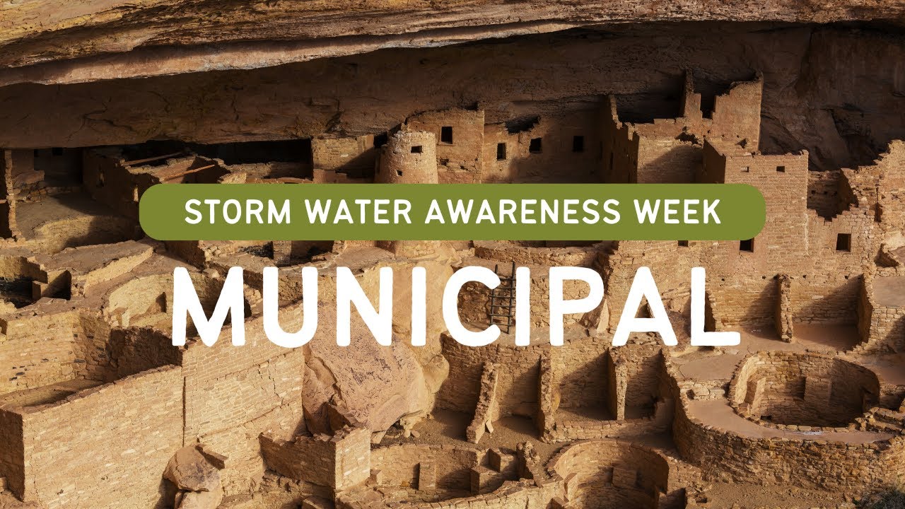 A Data Driven Approach to Enhance Street Sweeping for Water Quality