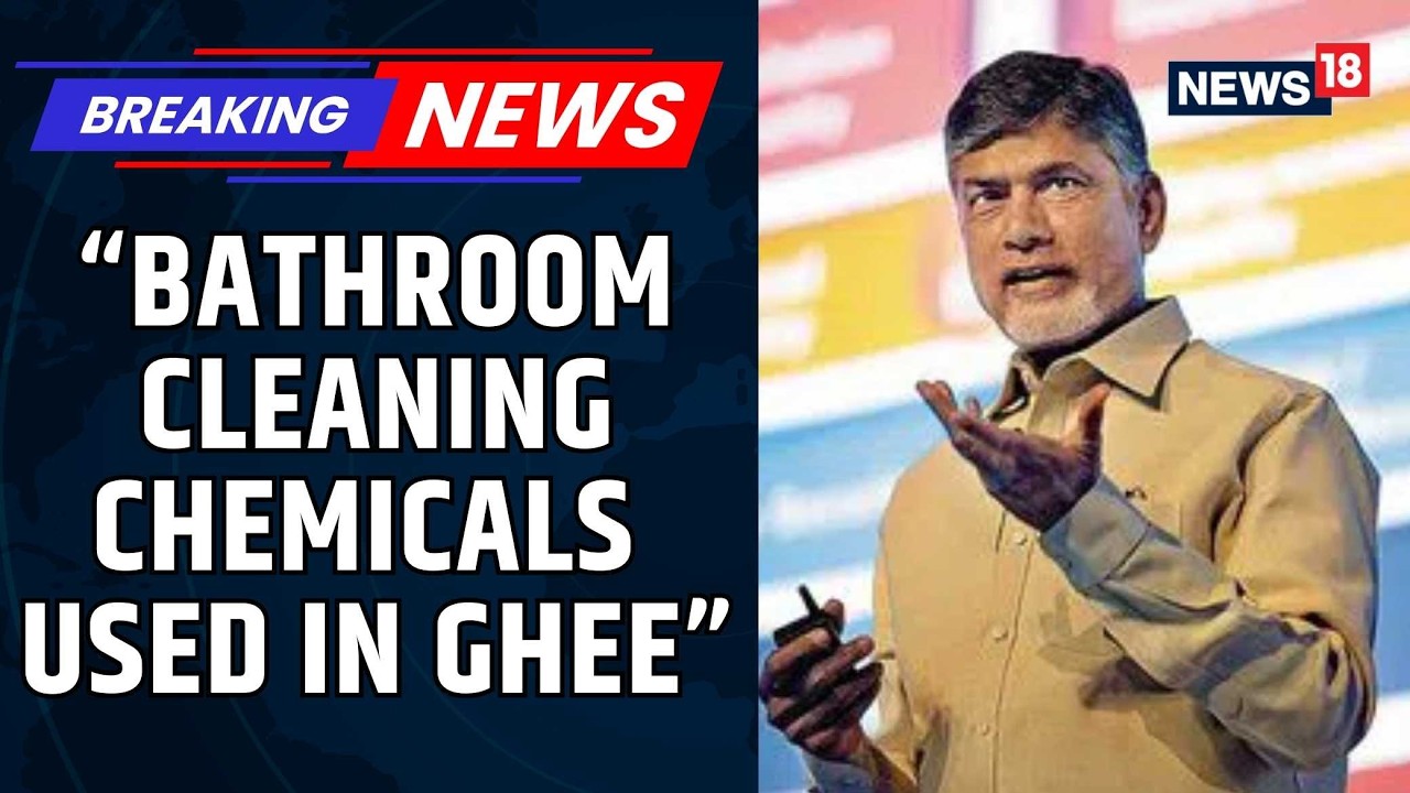 Tirupati Laddu Row | Bathroom Cleaning Chemicals Used In Ghee, Alleges CM Chandrababu Naidu | News18