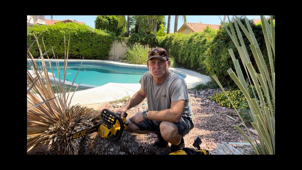 DeWalt Cordless Yard work !  