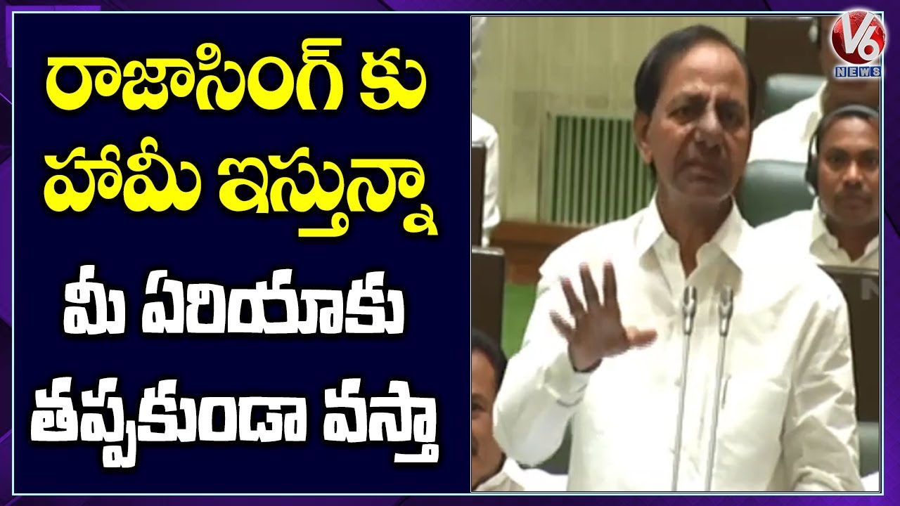 CM KCR Give Answers To MLA Raja Singh Questions In Assembly | V6 Telugu News