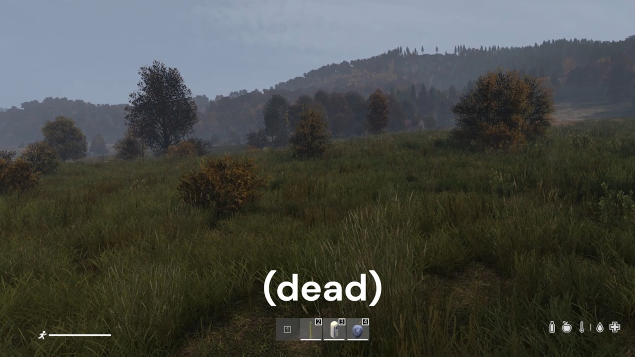 I HATE Dayz servers