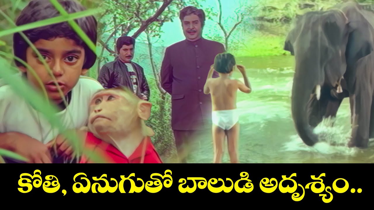 కోతి, ఏనుగుతో బాలుడి అదృశ్యం.... | Shobhan Babu | Radha | Adavi Raja | ETV