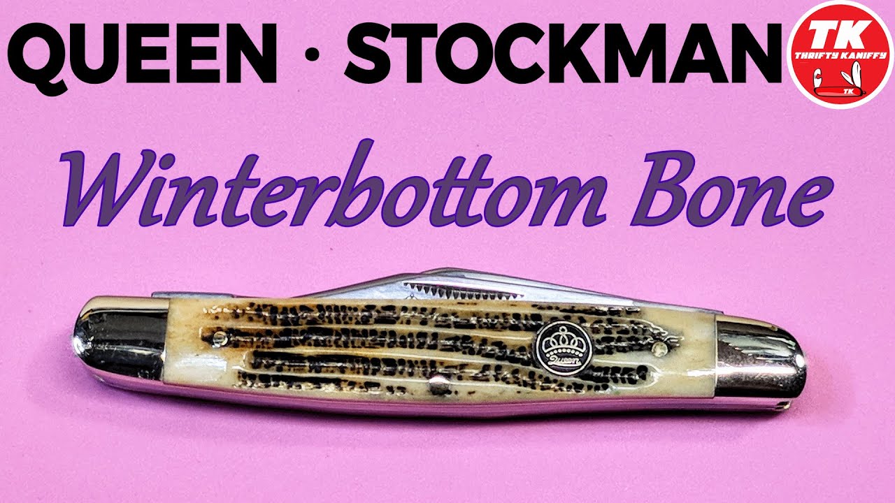 Queen Winterbottom Bone Stockman Pocket Knife QN37WB
