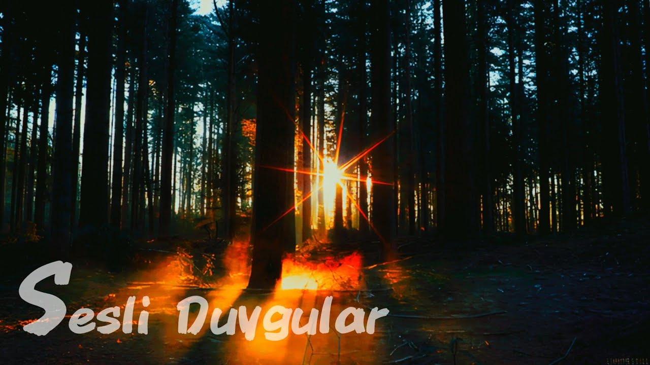 Bir şehir susuyor | 3 dakikalık şiir