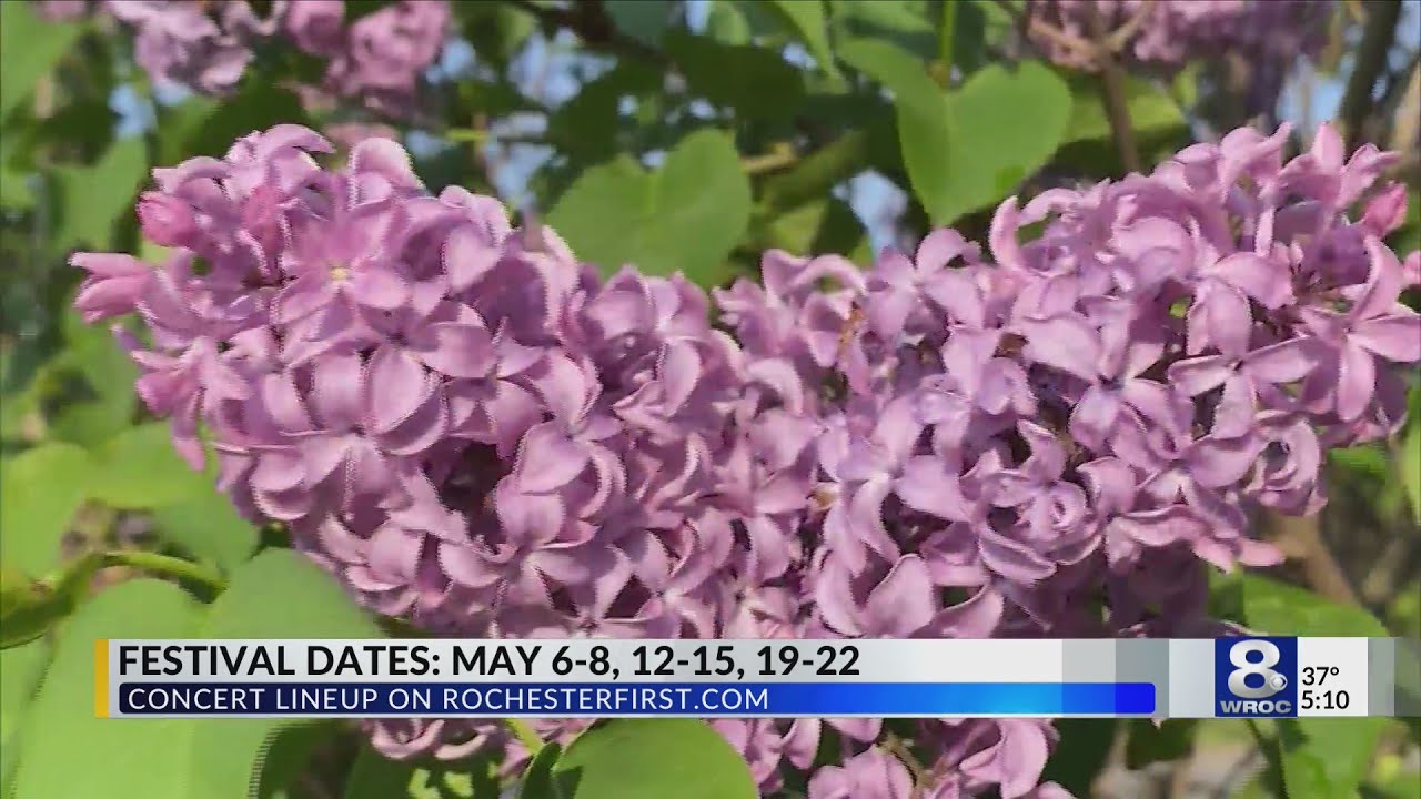 Lilac Festival lineup: Free concerts return to Highland Park after 2-year hiatus