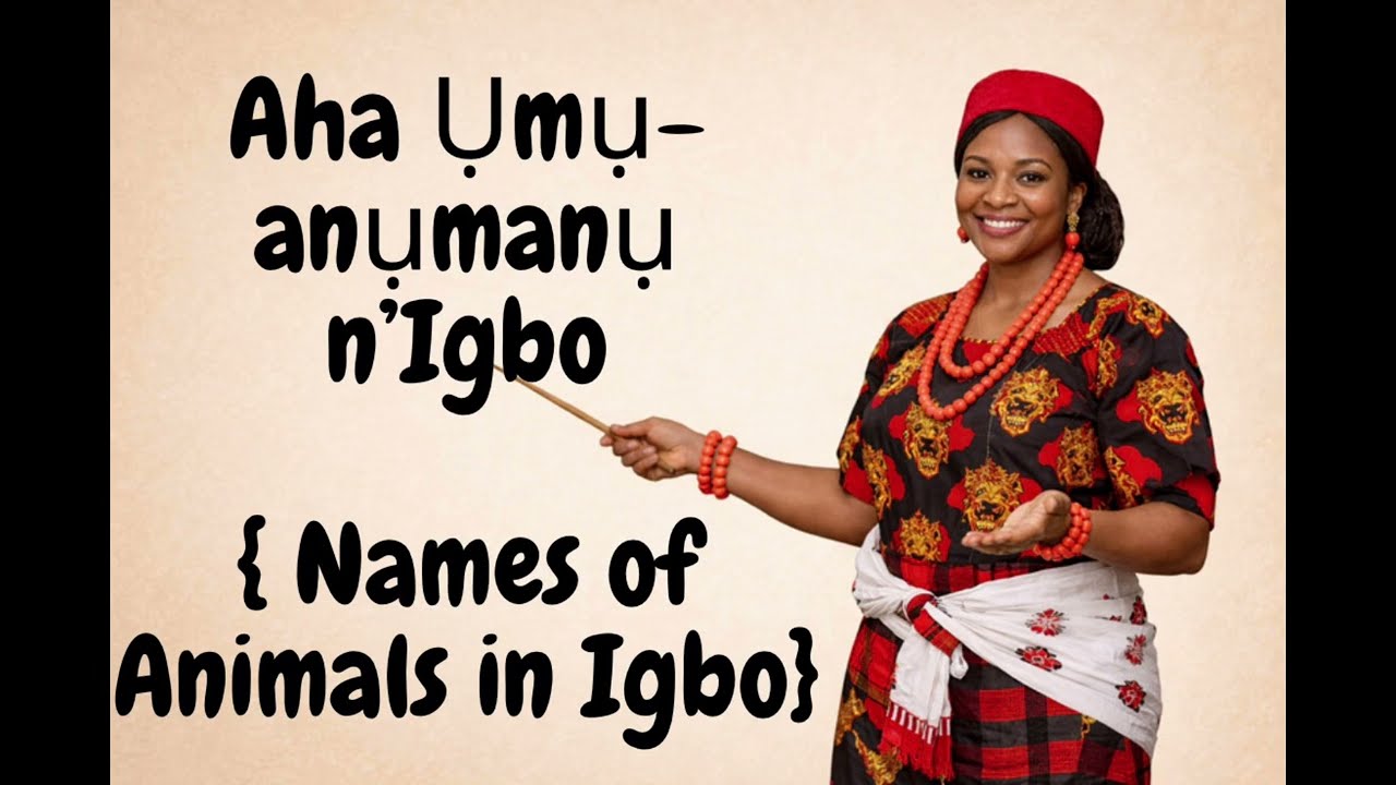 AHA ỤMỤANỤMANỤ N’ASỤSỤ IGBO.#igboculture #igbodiaspora #igbo #igboamaka 