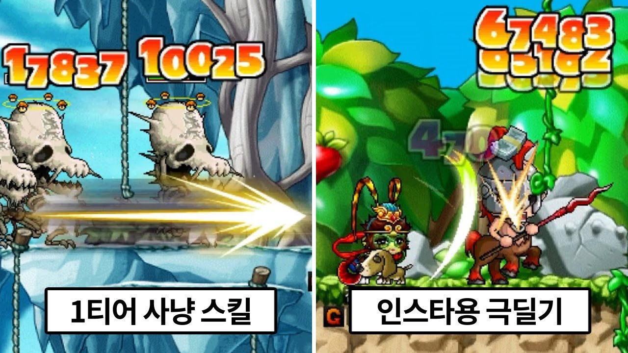 가장 극단적인 왕귀 직업