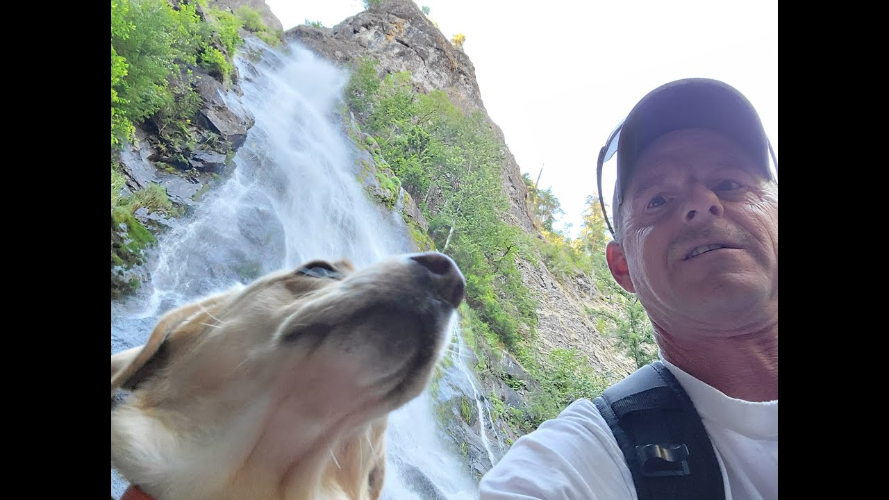 Labrador Retriever Waterfall Body Cam Action Swim Dogs View Below Waterfall Plunge Pool