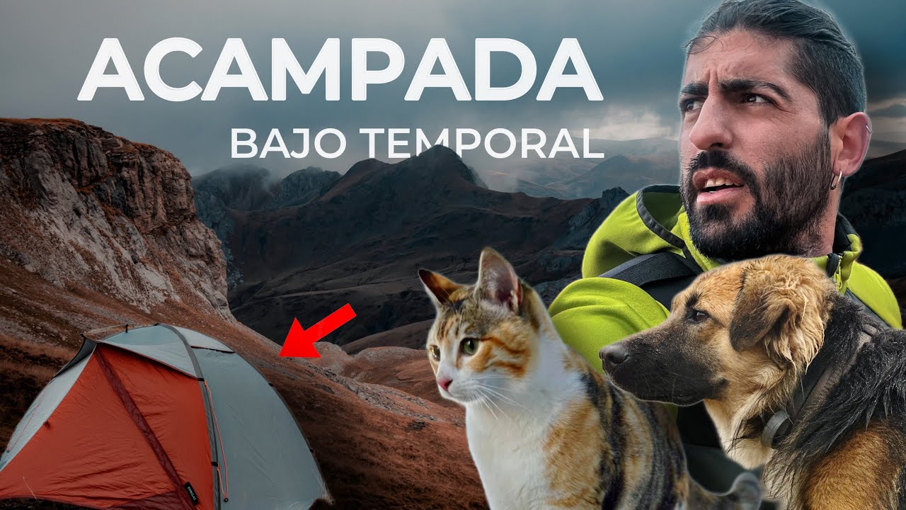 ACAMPADA en la MONTAÑA MÁS REMOTA de EUROPA con MASCOTAS #60