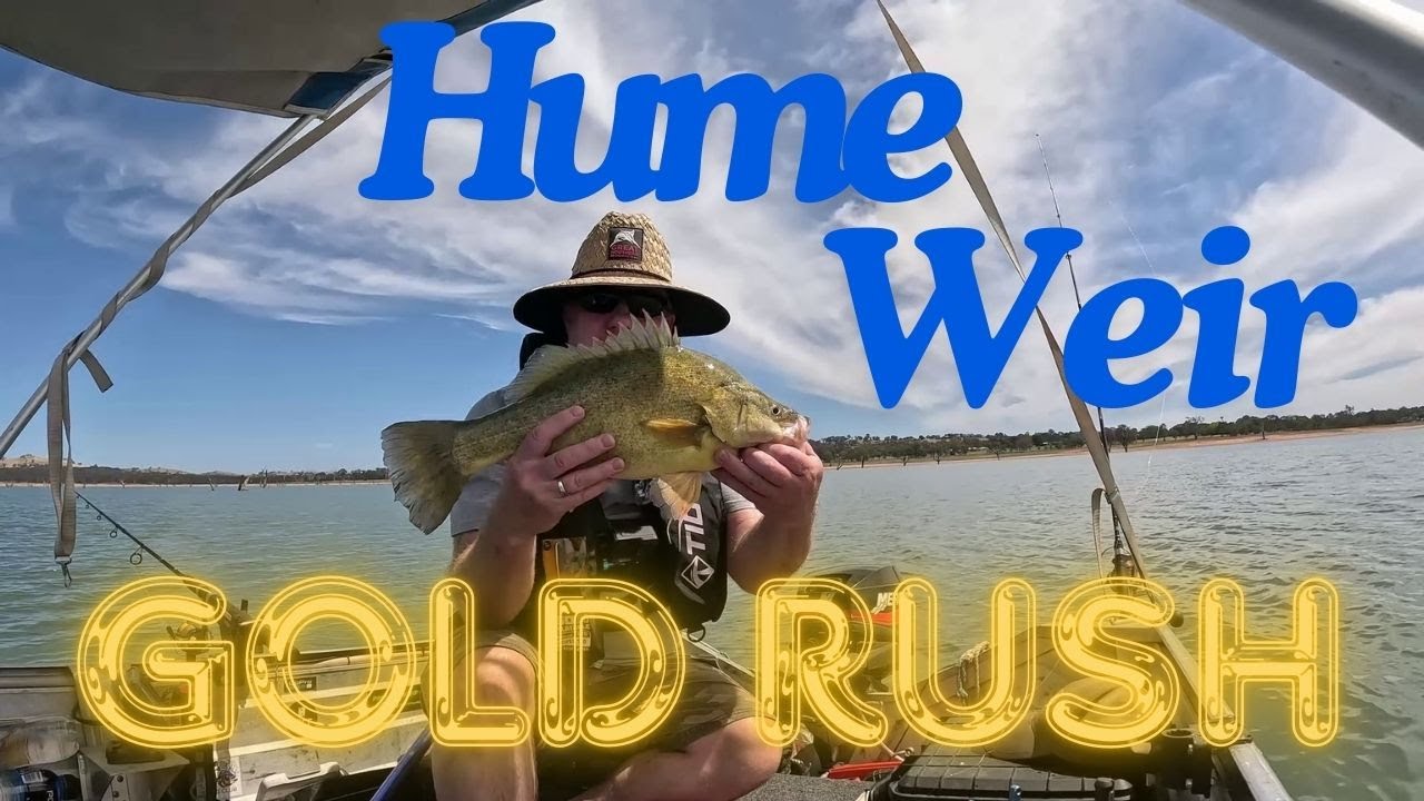 Hume weir Gold Rush