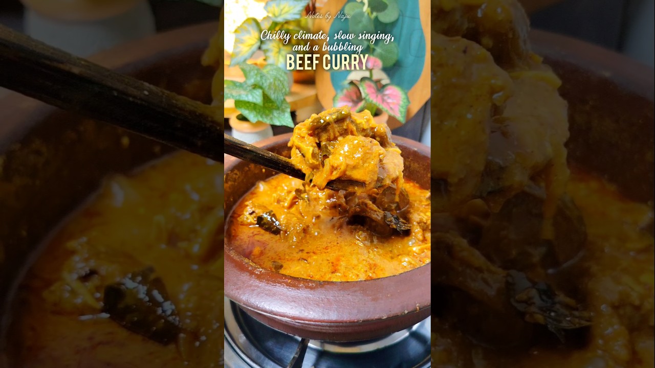 Recipe | Slow Cooked Beef Curry | Cozy Cooking 