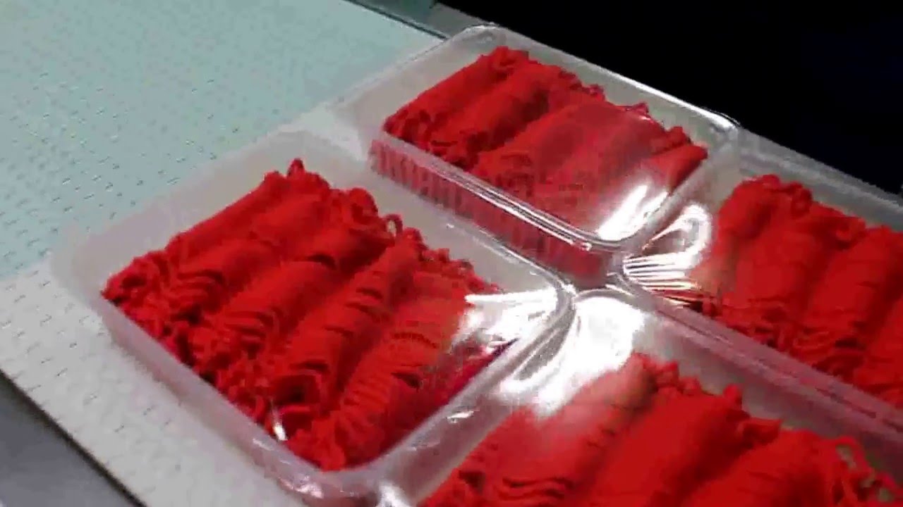 MINCED MEAT LINE