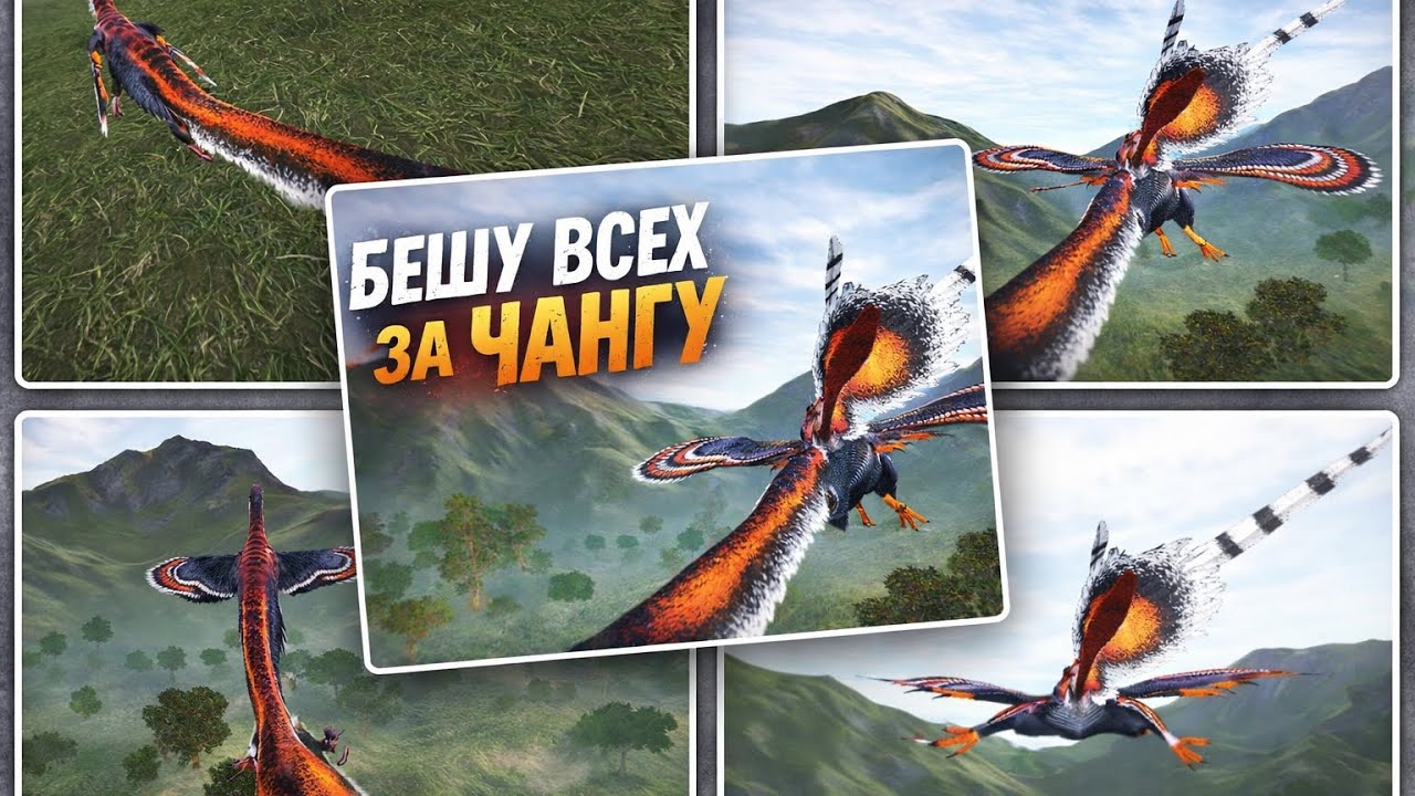 Бешу всех за Чангураптора (Видео Развлекательного контента)