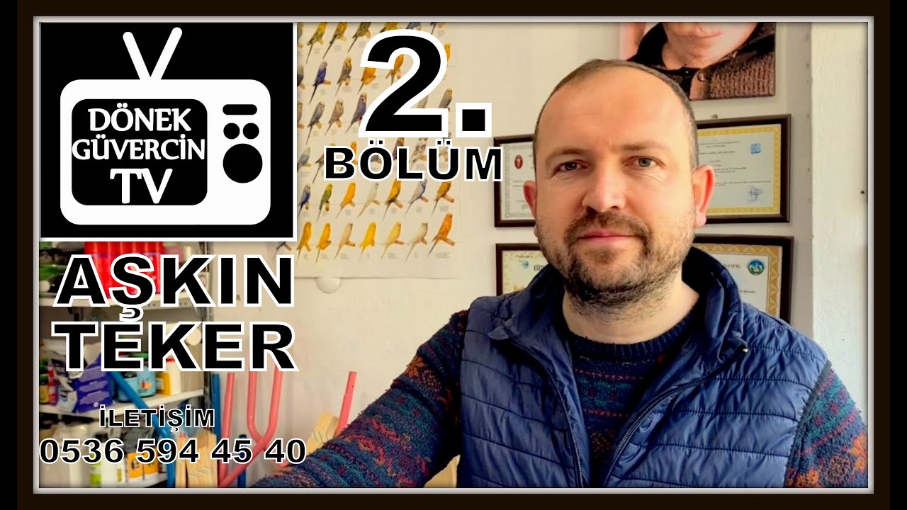 Salmonella tedavisi.Kümesleri etkili  dezenfekte yolları.Güvercinlere verilen yemler nasıl olmalı?