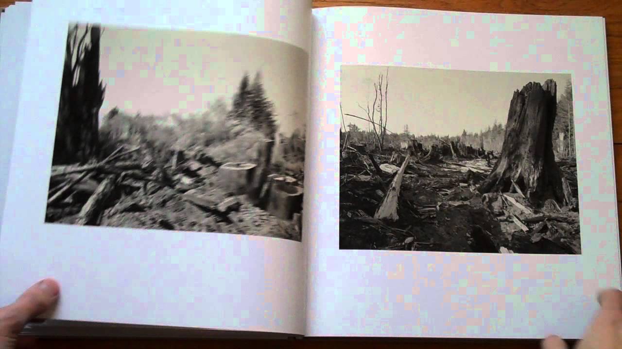 Presenting Redwood Saw by Richard Rothman