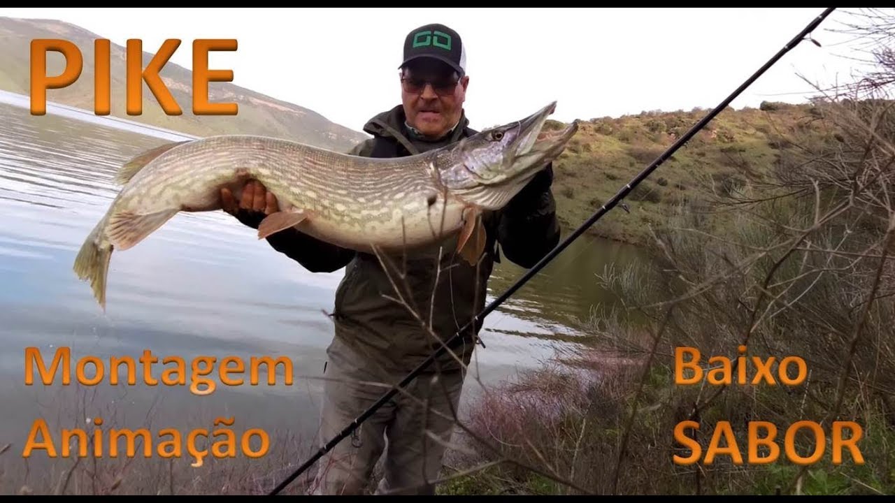 PIKE - Esta temporada promete!!!