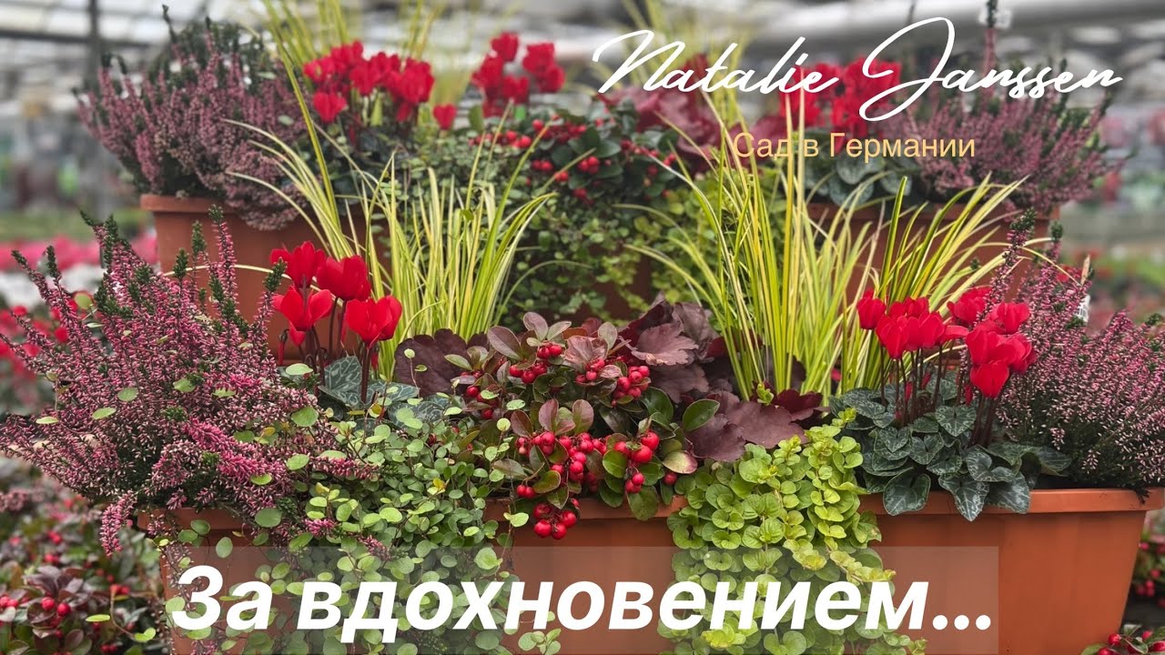 В цветочный магазин за вдохновением 🌟Декор 🌟Ассортимент октября 🌟