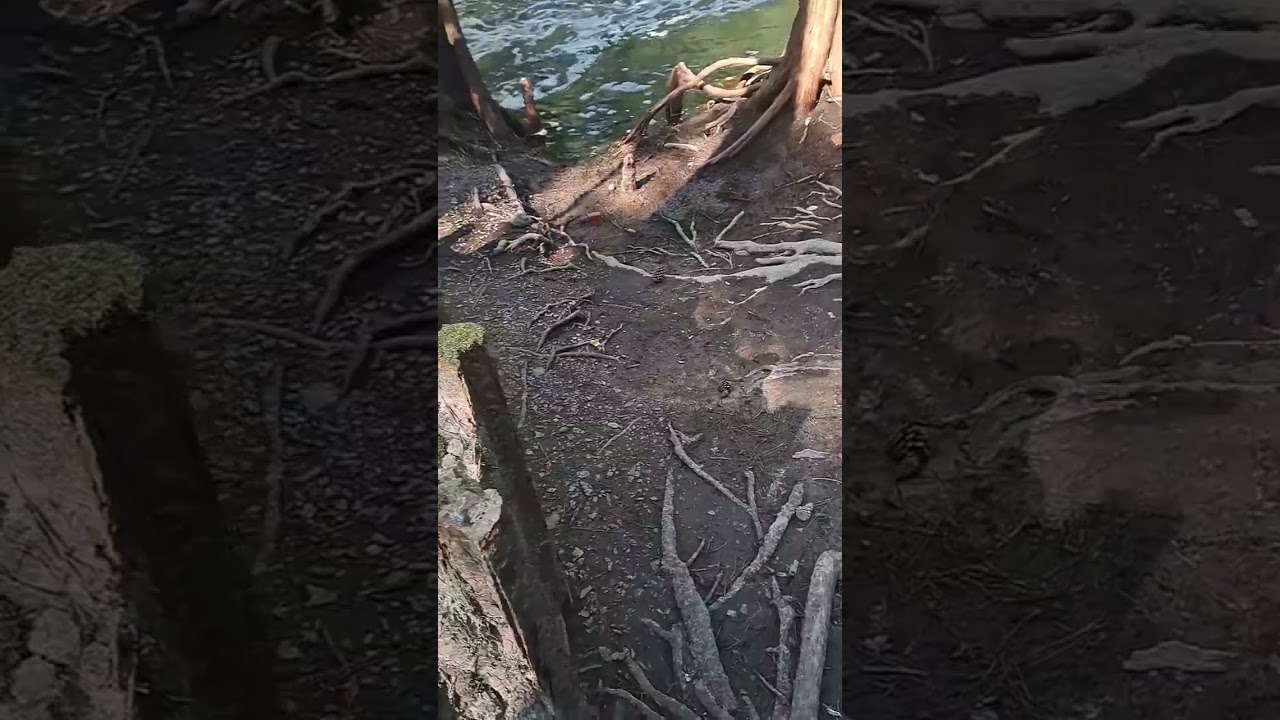 105 year old steel dam at Zirkle Georgia