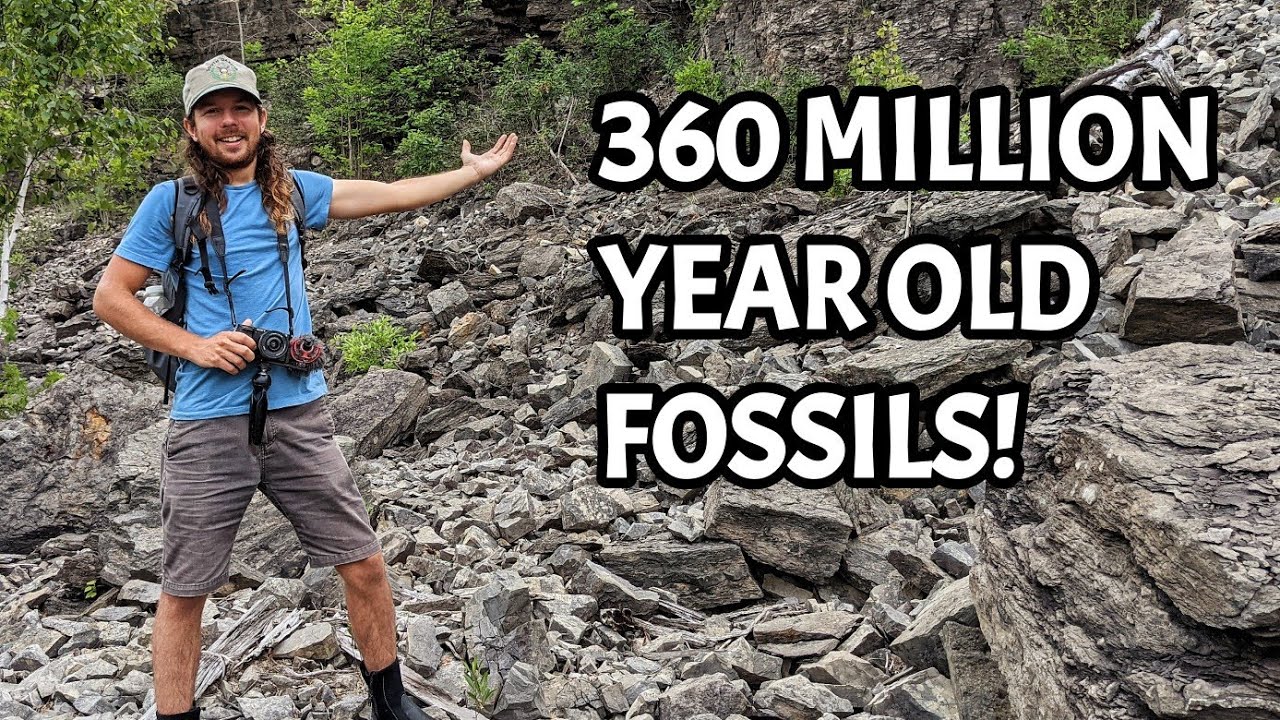 Unbelievable Treasure Hidden in these Rocks! Fossil Hunting in Alpena, Michigan for Ancient Sea Life