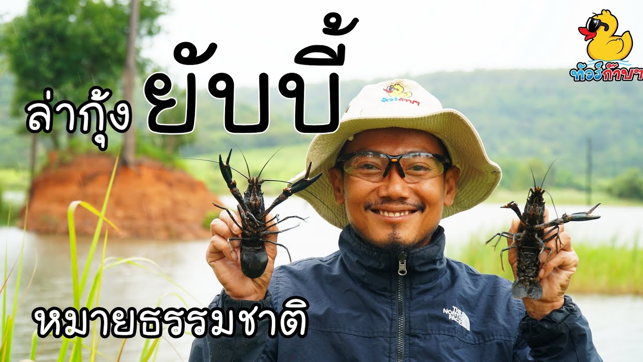 ล่ากุ้งยับบี้ หมายธรรมชาติ สัตว์เอเลี่ยนต่างแดน - ทัวร์ก๊าบๆ