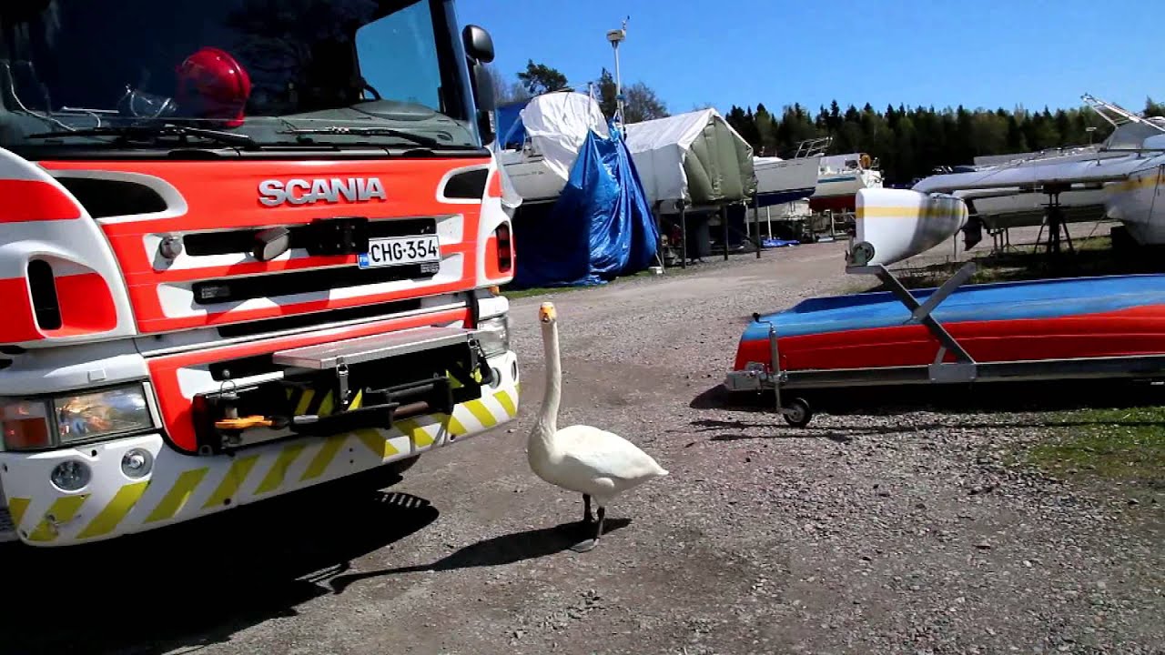 Laulujoutsen ja paloauto