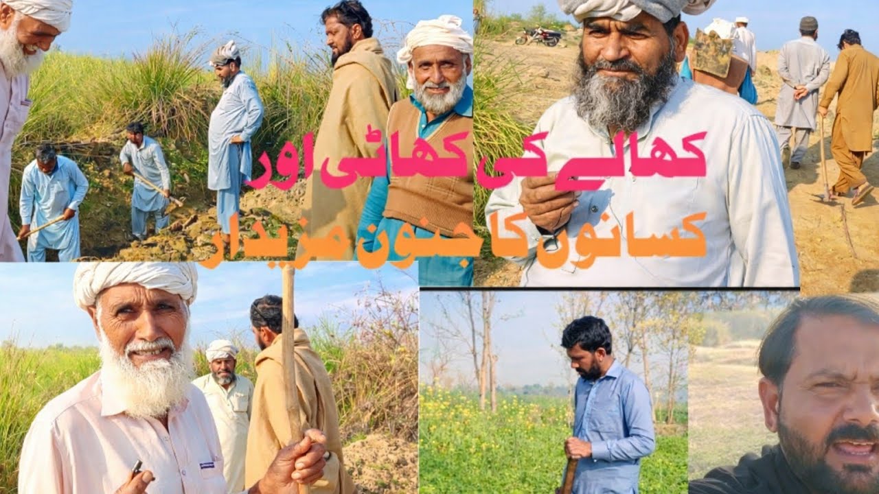 کھالے کی کھٹائی اور چارہ کٹائی | Canal Cleaning & Fodder Cutting Vlog