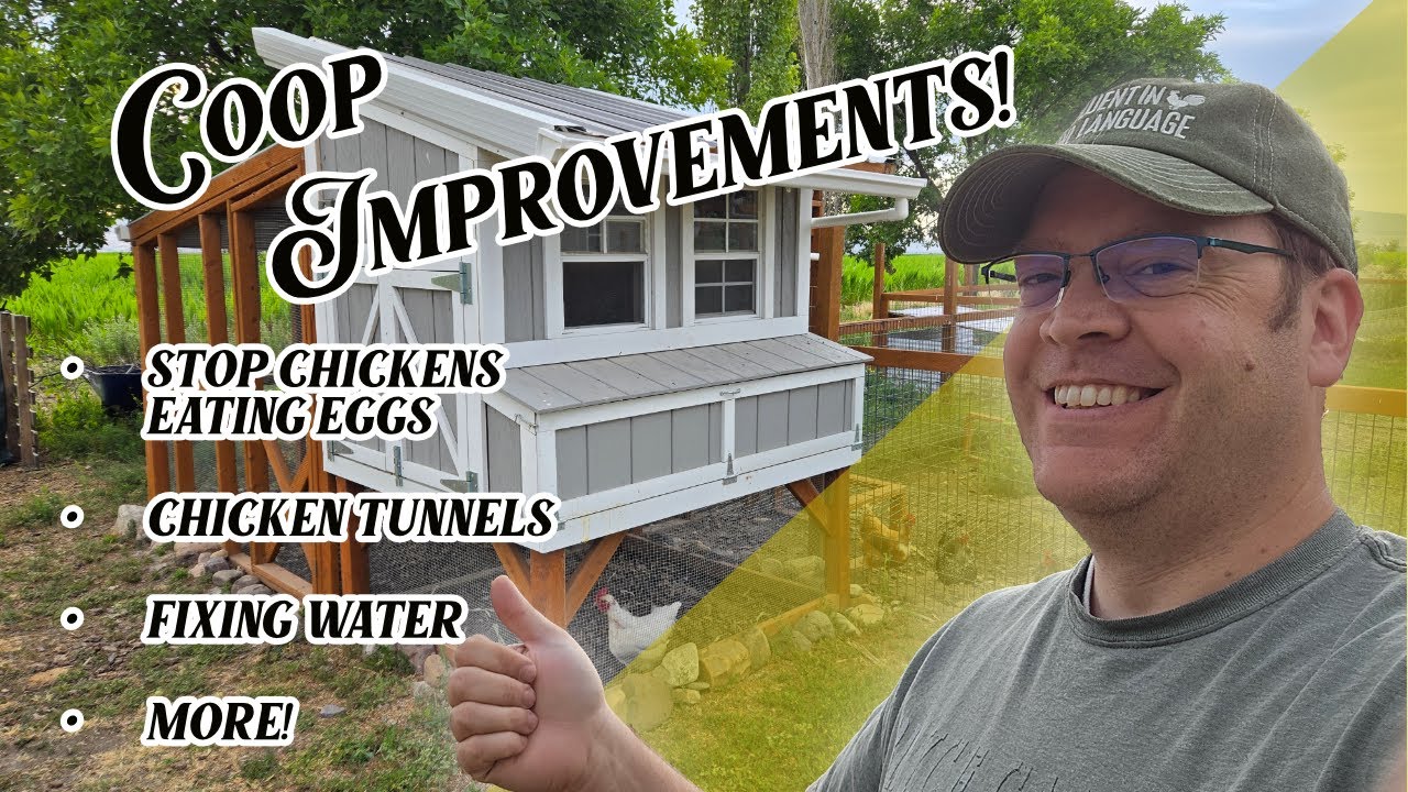 Maintaining and Upgrading our Third Coast Craftsman Chicken Coop