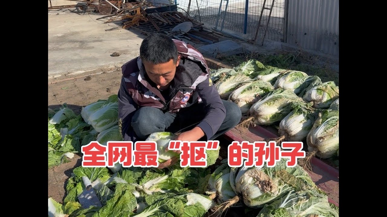 20251105-今天进城给爷爷奶奶送白菜，萝卜，土豆，面瓜