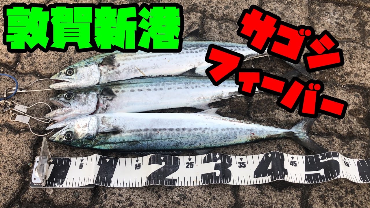 敦賀新港に行ってきた Part108