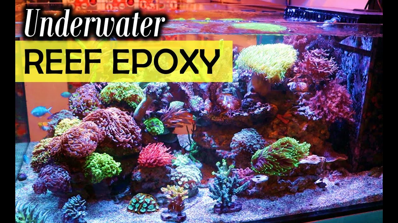 Using Underwater Epoxy To Attach Corals