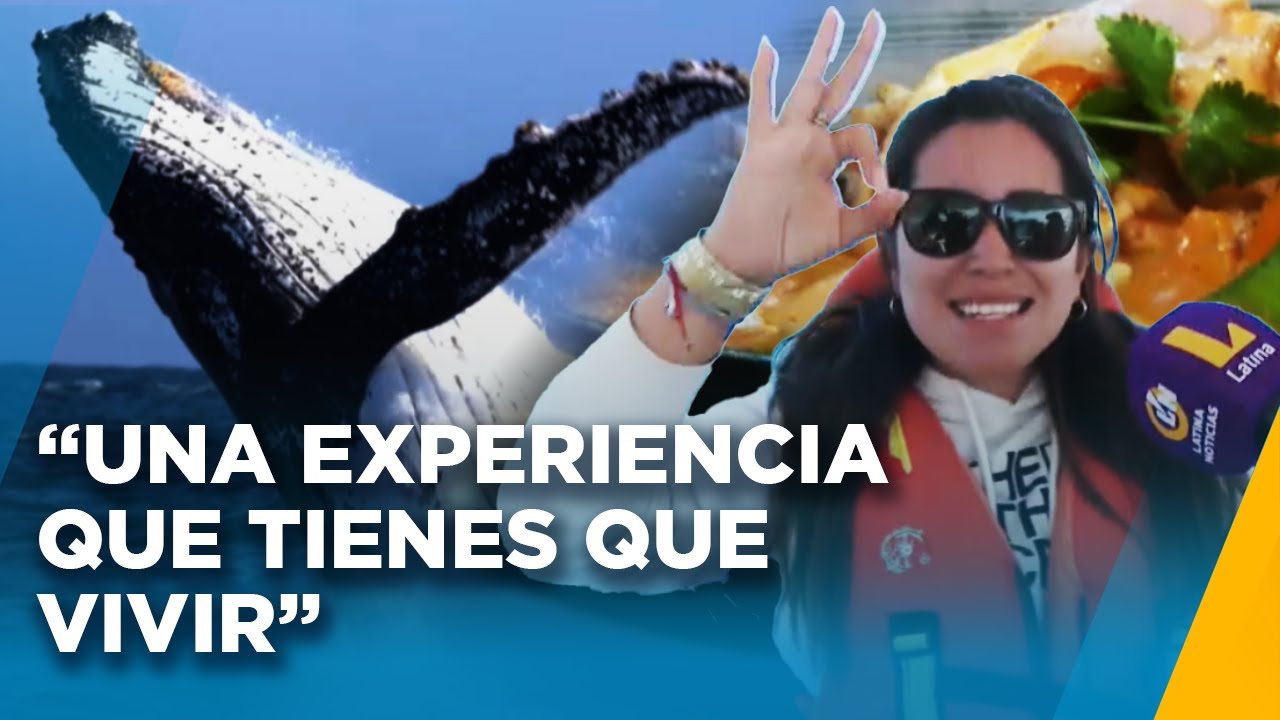 ¿Dónde ver la 'danza de las ballenas'? Disfruta de las maravillas de las costas peruanas