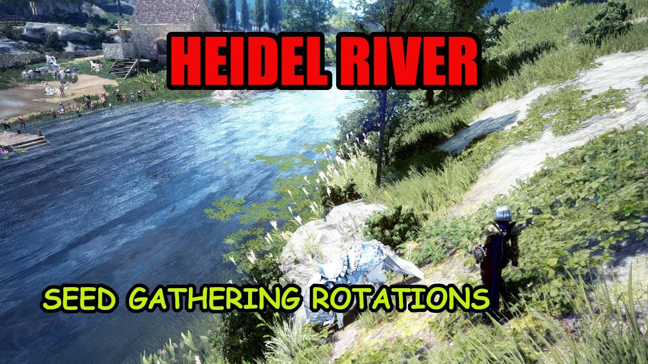 Seed rotation - Heidel