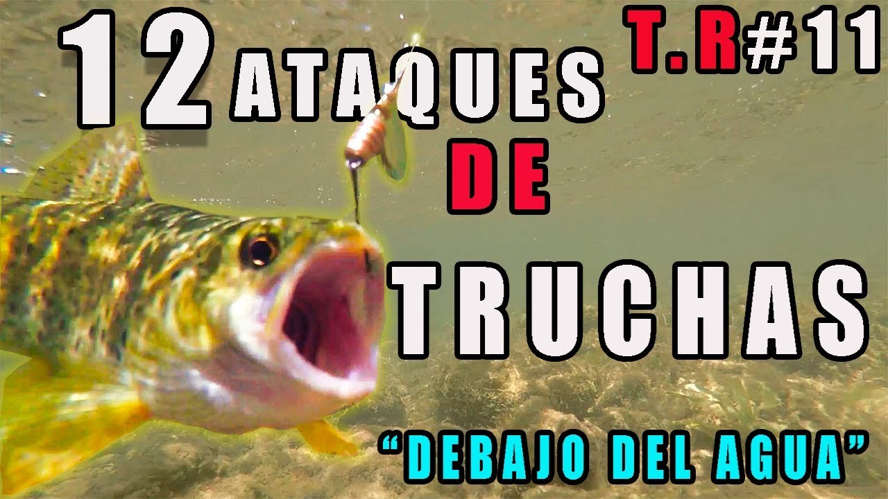 los 12 mejores  ataques de truchas a una cucharilla bajo el agua 2018 HD